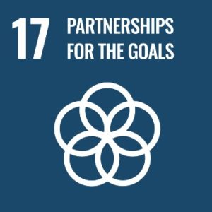 SDG 17 – Partnerships